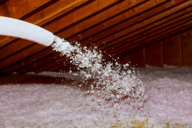 Best Insulation Maintenance and Repair in Madisonville, TX
