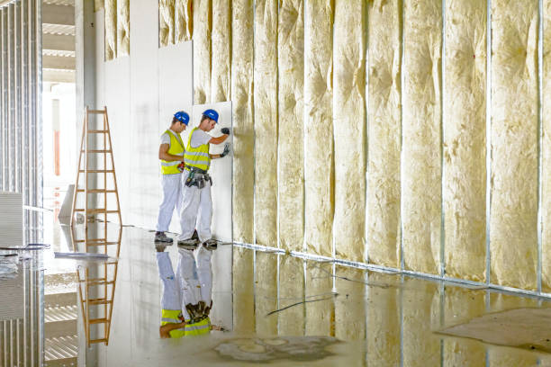 Best Insulation Installation Services in Madisonville, TX